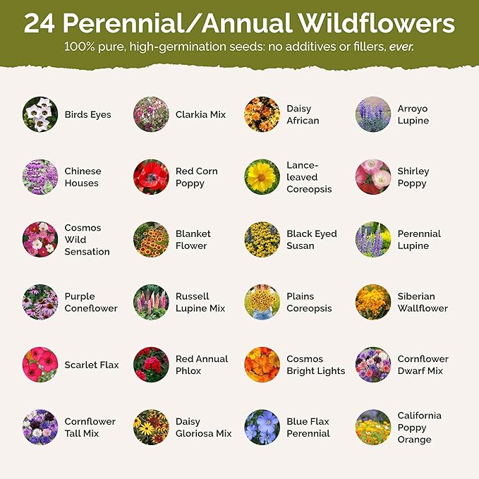 Eden Brothers Oklahoma Wildflower Mixed Seeds for Planting, 1 oz, 30,000+ Seeds with Lupine, WallFlower | Attracts Pollinators, Plant in Spring or Fall, Zones