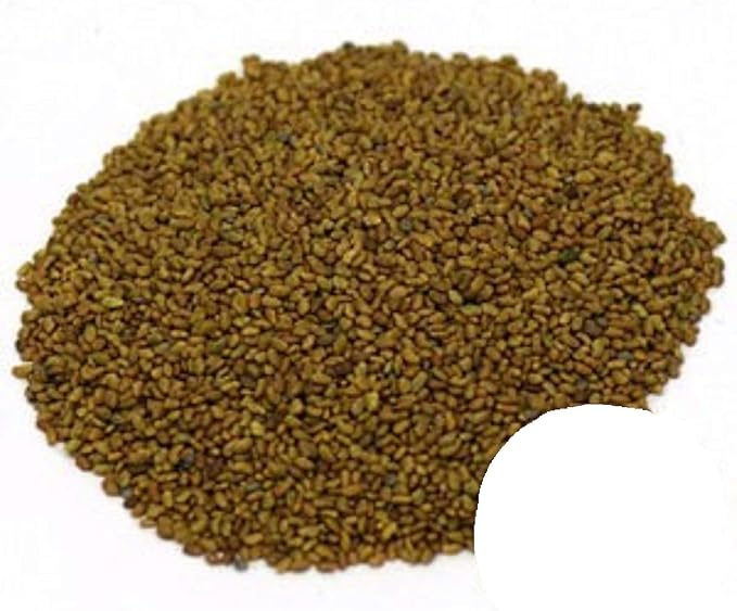 Alfalfa Sprouting Seeds Organic