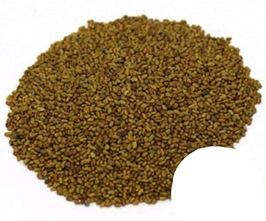 Alfalfa Sprouting Seeds Organic