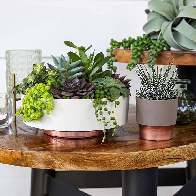 The HC Companies 8 Inch Round Plastic Succulent Capri Bowl 8"x8"x3" in Faux Concrete Color