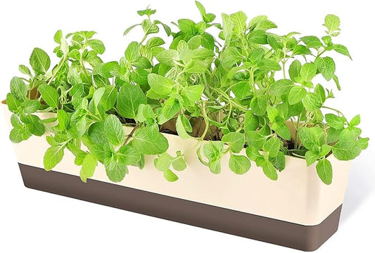 GREANER Window Boxes, 1 Pack 16 x3.8 Inch Indoor Rectangle Planter, Herb Succulent Cactus Window Box with Saucer, Modern Plastic Plant Pot for Windowsill, Garden Balcony, Home Office Outdoor Decor