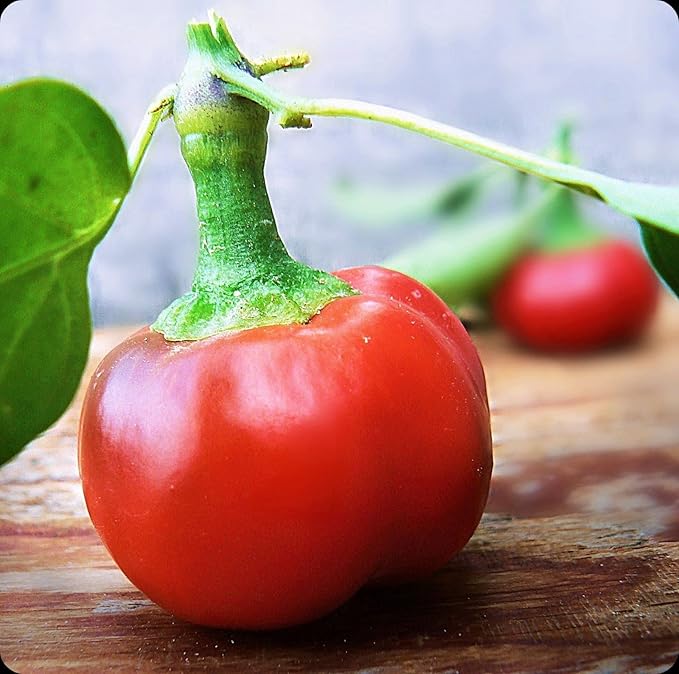 Seeds Red Hot Cherry Pepper Vegetable for Planting Heirloom Non GMO
