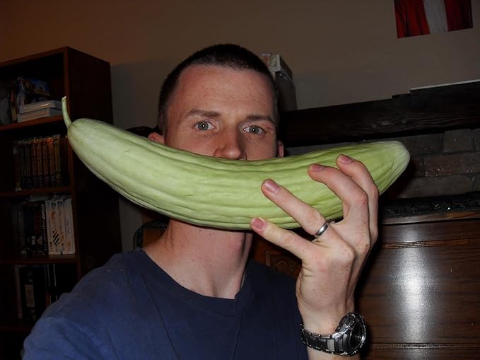 Seeds Rare Cucumber Armenian Long 70 Days Pickling Vegetable for Planting Heirloom Non GMO