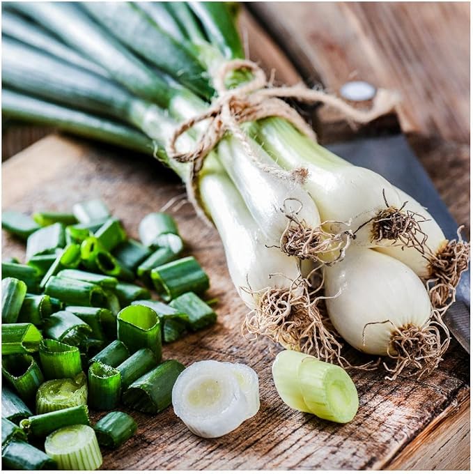 Everwilde Farms - 250 Organic Evergreen White Bunching Onion Seeds - Gold Vault Packet