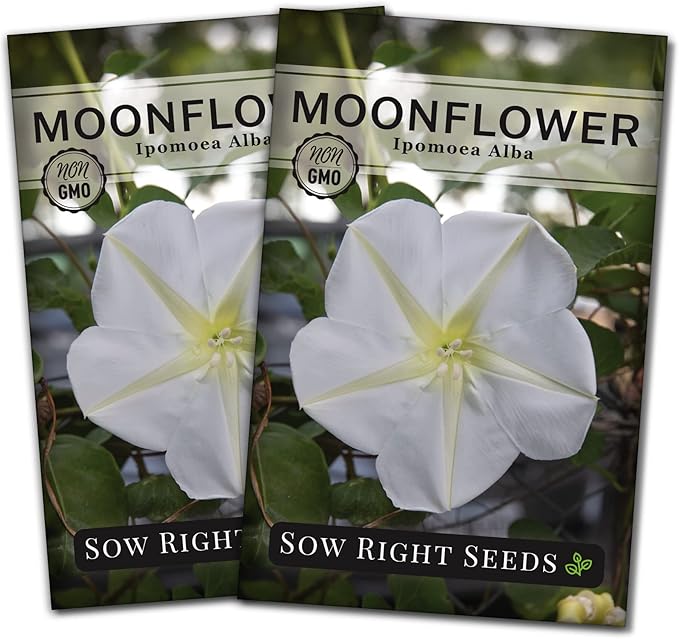Sow Right Seeds - Moonflower (Ipomoea alba) Flower Seeds for Planting - Non-GMO Heirloom Flowers to Grow in Your Home Garden - Vining Plant for Beautiful Evening Blooms - Wonderful Gift (2)