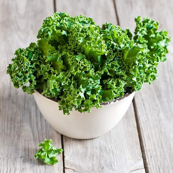 Seeds Vegetable Indoor Mix of Italian Lettuce and Spicy Crops Year-Round (Romaine, Frise, Arugula, Lollo Bionda, Lolla Rossa, Traditional Lettuce) Heirloom for Salads - 1000 Seeds