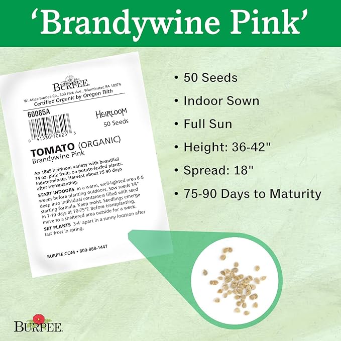 Burpee 'Brandywine Pink' Heirloom | Organic Beefsteak Slicing Tomato | 50 Seeds