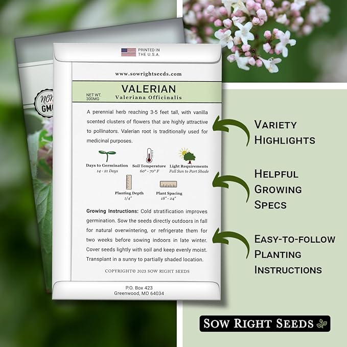 Sow Right Seeds - Valerian Seeds for Planting - Non-GMO Heirloom Packet with Instructions to Plant an Outdoor Herb Garden - Fragrant with Medicinal Benefits - Valerian Root for Sleep & Calm (4)