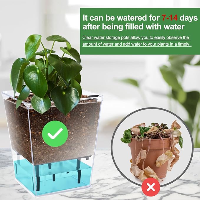 Self Watering Pots Set, 3 Pack 5 Inch for Indoor Plants, Clear Nursery Planter With Deep Reservoir for Spider Plant, Orchid, African Violet
