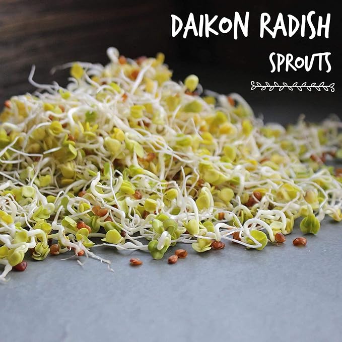 Organic Radish Sprouting Seeds - 4 Oz- Radish Seed for Sprouting Sprouts, Cooking, Soup, Food Storage, Hydroponics, Gardening & More
