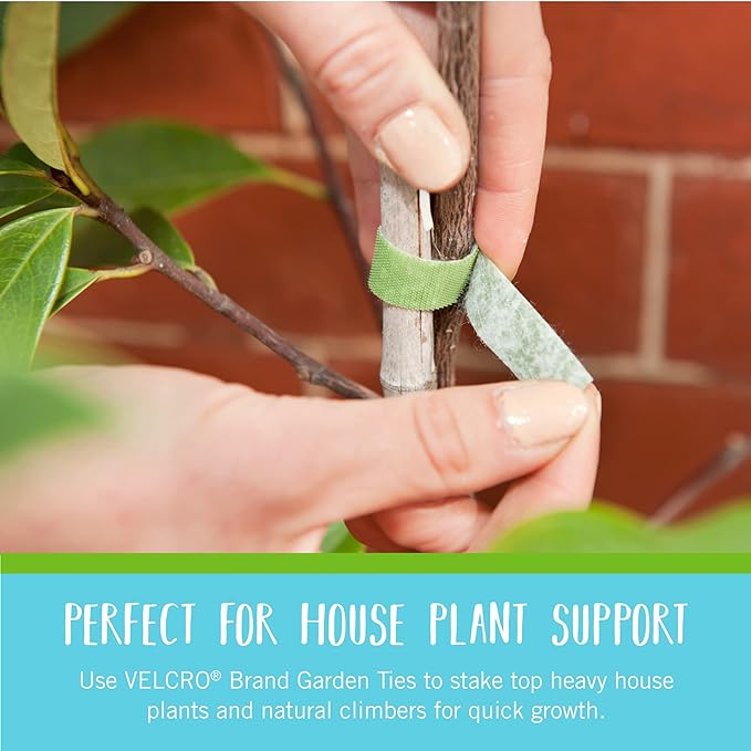 Velcro Brand VEL-30088-AMS Garden Pre-Cut 45pcs ONE-WRAP Plant Ties Suitable for Tomatoes Flowers or Vegetables in Raised Beds, 8 in X 1/2 in, Green-Recycled Plastic