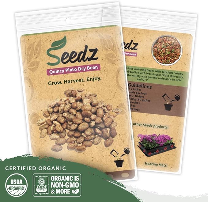 Organic Bean Seeds, Appr. 115, Pinto Dry Bean, Heirloom Vegetable Seeds, Certified Organic, Non GMO, Non Hybrid, USA