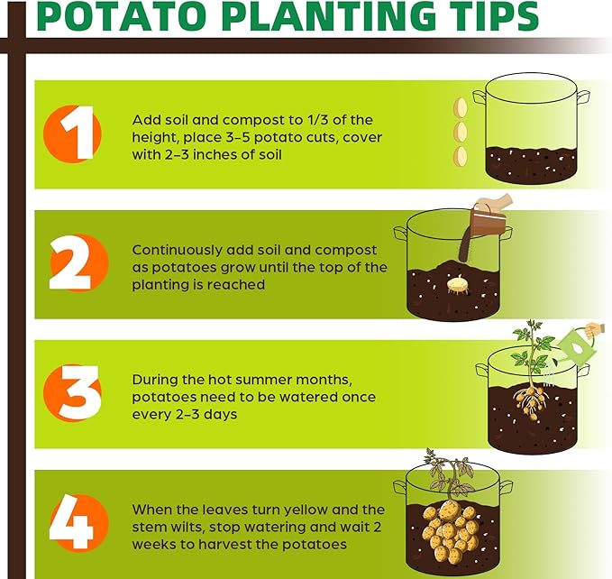 10 Pack 5 Gallon Grow Bags, Thickened Nonwoven Fabric Planter Pots with Handles, Heavy Duty 300G Garden Pots for Tomato, Potato and Vegetable