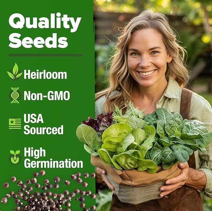 HOME GROWN 20 Variety Lettuce Seeds 21,500+ Bulk Pack Heirloom Non-GMO High Germination, Romaine, Butterhead, Spinach, Kale, Iceberg, Continuous Harvest Indoor Outdoor Hydroponic Garden (20 Varieties)