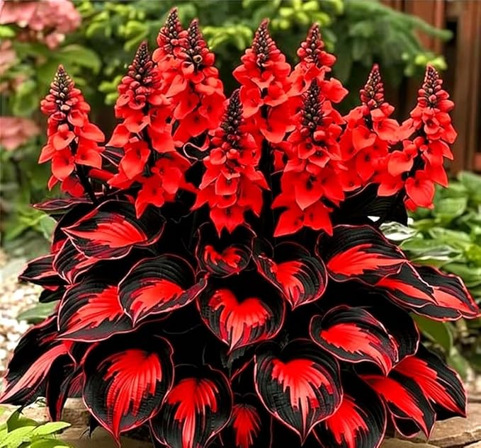110 Pcs Fragrant Hosta Flower Seeds for Planting Easy Growing Perennial Shade Plants, Green Foliage for Garden Landscaping & Home Decor