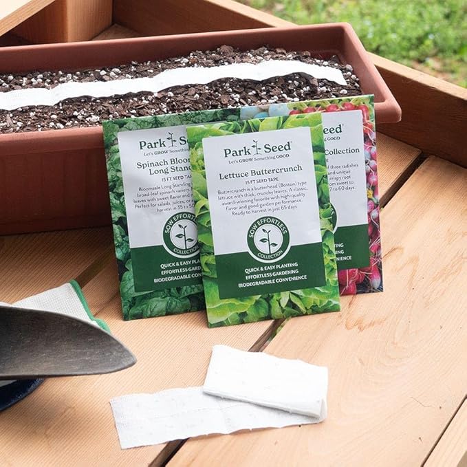 Park Seed Sow Effortless Collection Seed Tape – Sylvestra Lettuce, 15 Feet – Easy DIY Planting, Crisp & Flavorful Butterhead Variety, Disease Resistant and Bolt Tolerant, Ready in 52 Days, No Thinning