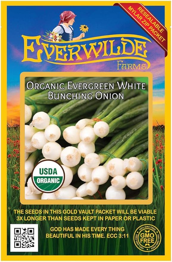 Everwilde Farms - 250 Organic Evergreen White Bunching Onion Seeds - Gold Vault Packet