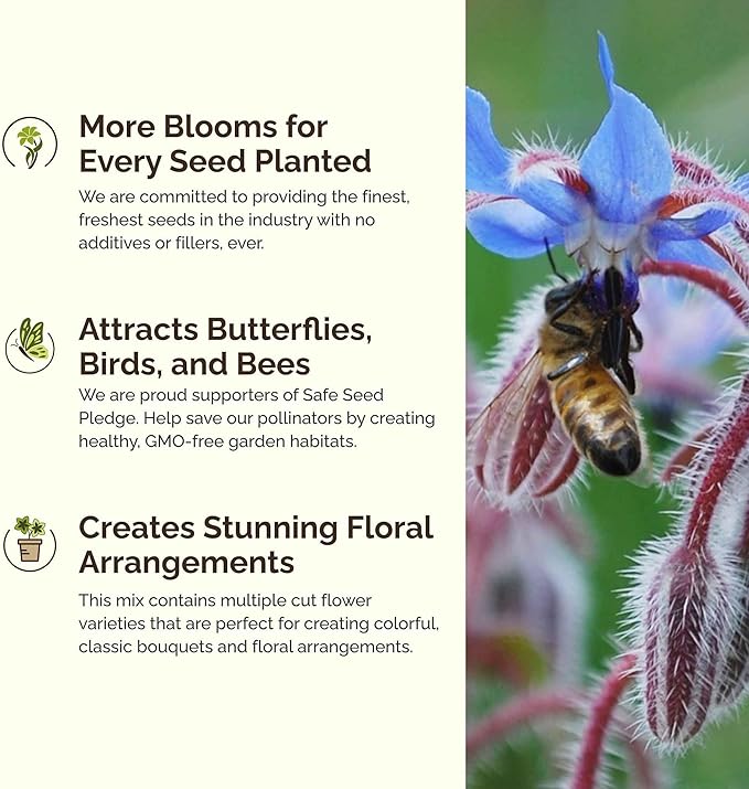 Eden Brothers Bee Happy Organic Wildflower Mixed Seeds for Planting, 1/4 lb, 120,000+ Seeds with Cosmos, Crimson Clover | Attracts Pollinators, Plant in Spring or Fall, Zones 3, 4, 5, 6, 7, 8, 9, 10