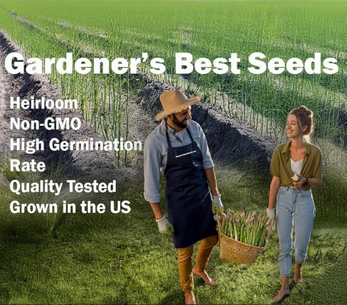 Mary Washington Asparagus Seeds for Planting – Organic, Non-GMO, Perennial Vegetable – Cold Hardy