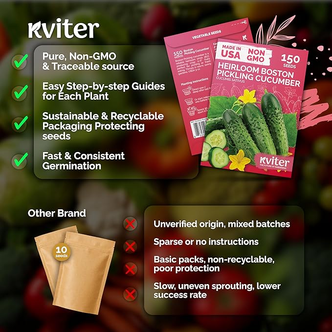 KVITER 150 Boston Pickling Cucumber Seeds (Cucumis sativus) - Boston Pickler Cucumber Organic, Perfect Cucumbers for Pickling and Slicing - Vegetable Seeds for Planting in Home Garden & Containers