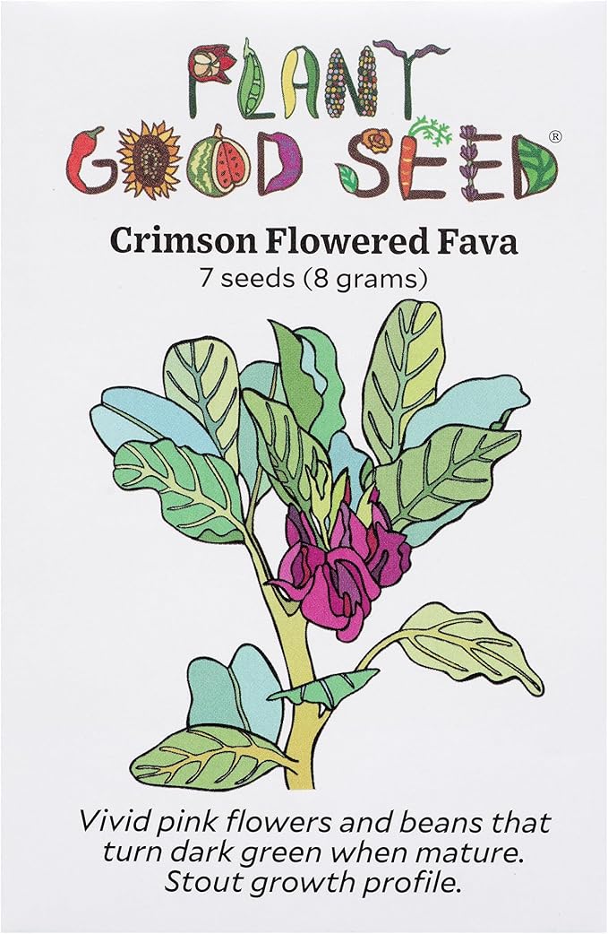 Plant Good Seed Organic Crimson Flowered Fava Bean Seeds for Planting: Heirloom Vegetable, Dark Pink Flowers - 7 Seed Packet
