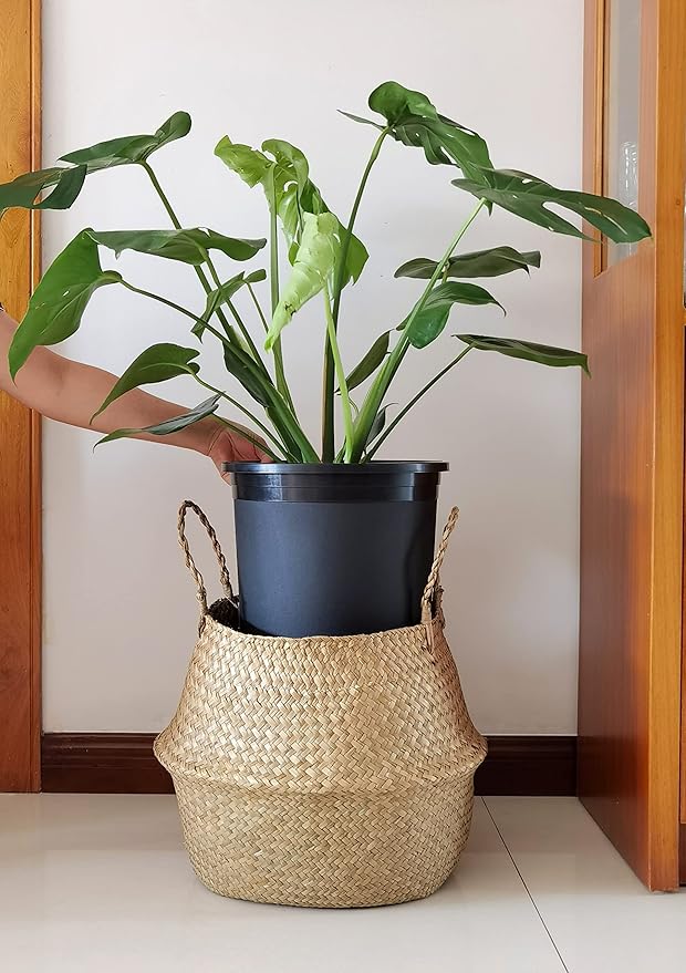 5 Gallon 6-Pack Large Plant Pots Nursery Tree Pot Plastic Planters for Outdoor Indoor Plants Gardening Flower Pots with Drainage Holes