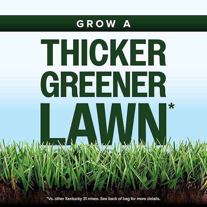 Scotts Kentucky 31 Grass Seed Mix for New Lawns or Overseeding, Grows Thicker and Greener vs. Other Kentucky 31 Mixes, Covers up to 1,750 sq. ft.