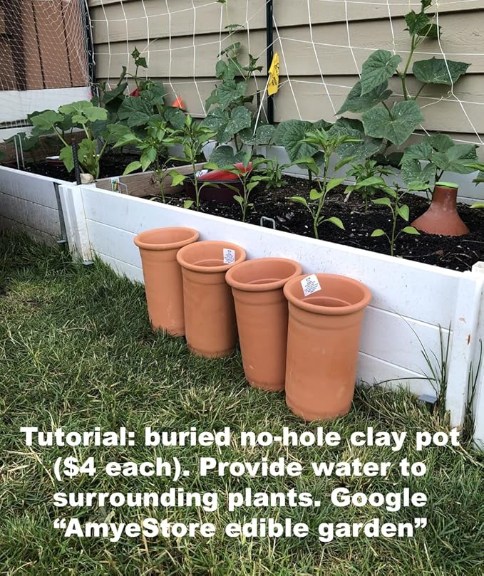 Roma VF Tomato Seeds for Planting - Heirloom Non-GMO Vegetable Seeds - Classic Italian Plum Paste Tomatoes for Canning & Sauce - High Germination Determinate Variety - Disease Resistant (50ct+)