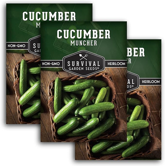 Muncher Cucumber Seeds for Planting | Burpless Variety with Smooth Skin for Snacking or Slicing – Survival Garden Seeds (3 Packs)