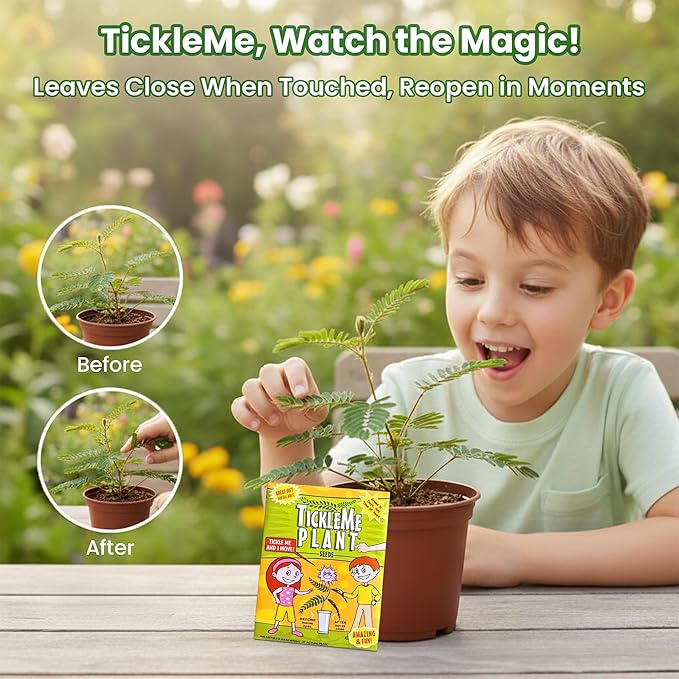 TickleMe Plant® Birthday Party Favors (2-Pack) – Touch It & Watch It Move! | Sensitive Plant Kids Grow Kit | Fun Interactive Indoor Gardening Gift for Kids, Classroom, STEM Activity