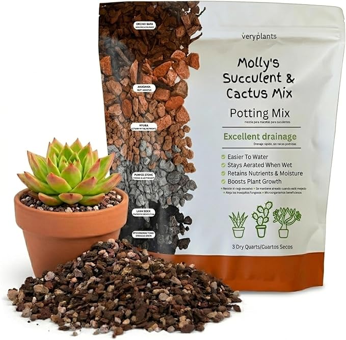 Molly's Succulent Mix - Premium Gritty Soilless Potting Mix for Succulents, Cactus and Bonsai - Contains Akadama, Hyuga, Bark Fines, Pumice, Lava Rock, Mycorrhizae 3 Dry Quarts