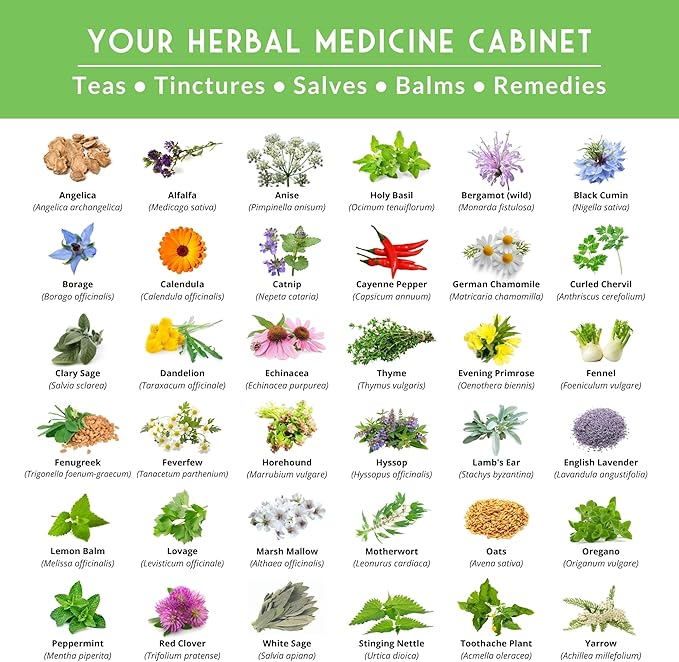 Ultimate Medicinal Herb Seeds Variety Pack – 36 Heirloom Non-GMO Healing Herbs for Planting | Wellness & Apothecary Garden Kit for Herbalists, Homesteaders – Survival Garden Seeds (28,000+)