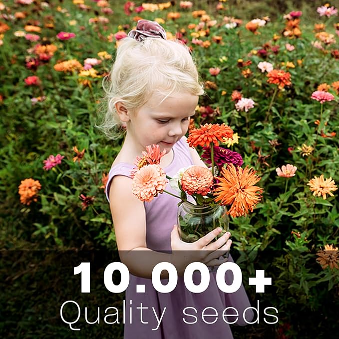 Zinnia Seeds Bulk 10,000+ | Outdoor Flower for Planting | Zinnia Seeds for 2026 | Mixed Colors & Large Blooms for Gardens| High Germination, Beginner-Friendly & Giftable Packaging