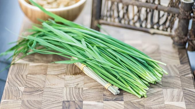 400+ Seeds Garlic Chives Onion - Vegetable Green