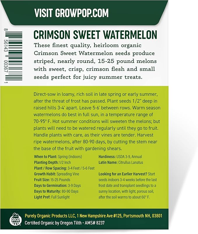 Organic Watermelon Seeds (Crimson Sweet) - Approx 12 Seeds - USDA Organic, Non-GMO, Open Pollinated, Heirloom, USA Origin
