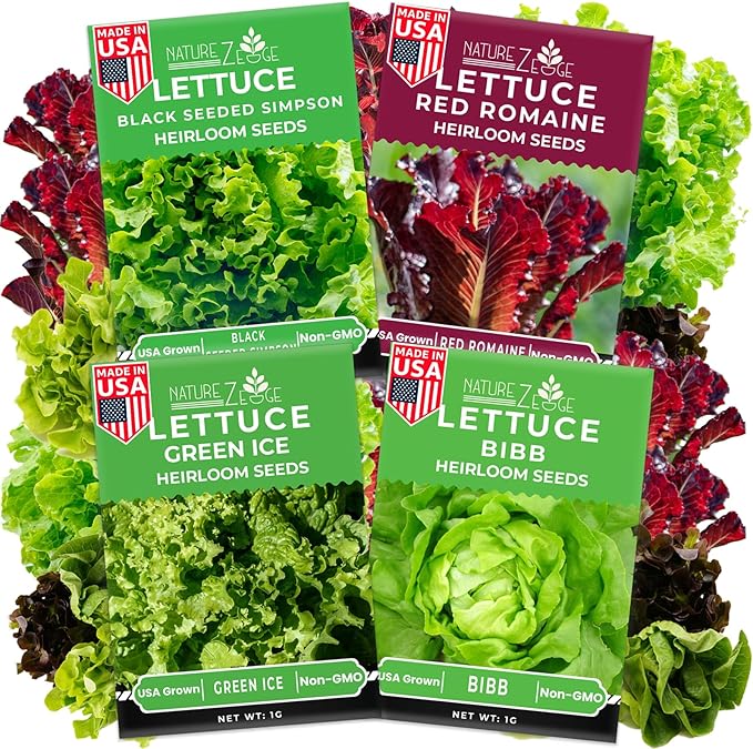 NatureZ Edge Lettuce Seeds for Planting, 4 Popular Varieties Non-GMO Heirloom Seeds, Red Romaine, Bibb Butter, Black Seeded Simpson, Green Ice Lettuce, Romaine, Salad Lettuce, Hydroponic Garden, USA