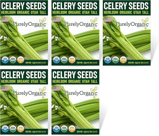 Organic Utah Tall Celery Seeds - USDA Organic, Non-GMO, Open Pollinated, Heirloom, USA Origin (5 Packets - 1.25 Grams - Approx 2500 Seeds)