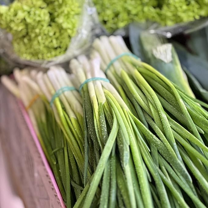 Organic Onion Seeds (Bunching Evergreen) - Approx 200 Seeds - USDA Organic, Non-GMO, Open Pollinated, Heirloom, USA Origin