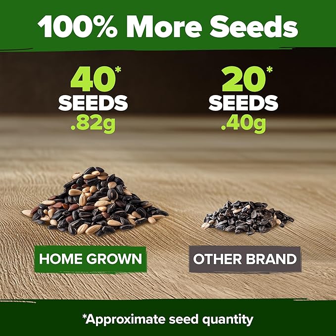 HOME GROWN Autumn Beauty Sunflower Seeds to Plant 40 Heirloom Non-GMO Sunflower Seeds for Planting Blooms for Pollinator Support, and Ornamental Flower Garden (Helianthus annuus)