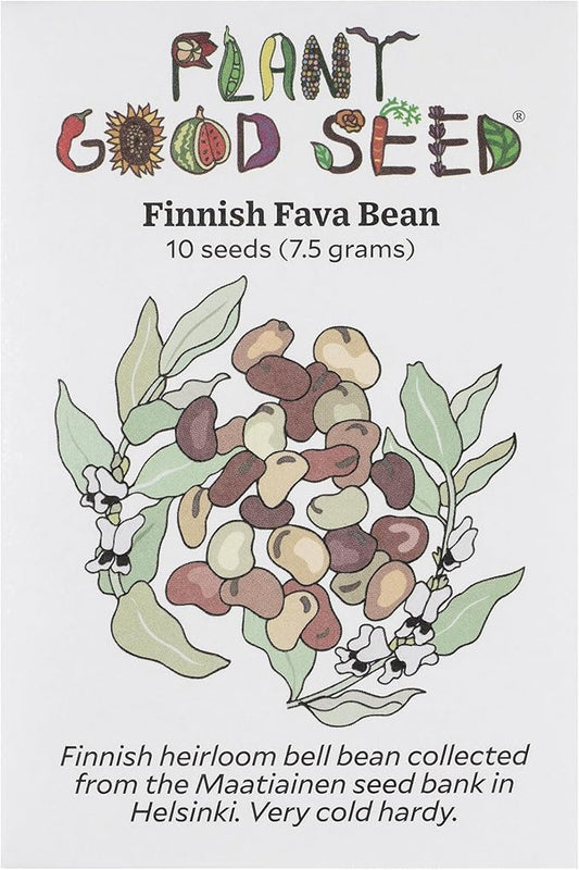 Plant Good Seed Organic Finnish Fava Bean Seeds for Planting: Heirloom Broad Bean, Brown Medium Sized Beans - 10 Seed Packet