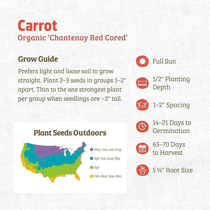 Back to The Roots 100% Organic Heirloom Seeds - Red Carrot Value Pack (840mg Total)