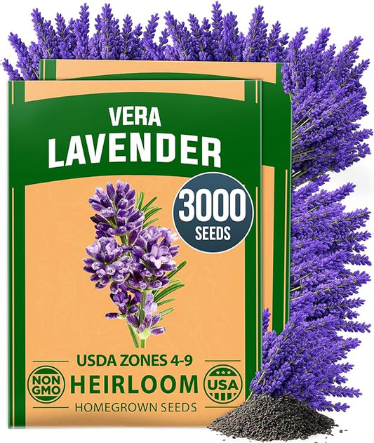 HOME GROWN Non GMO English Lavender Seeds 3,000+ Wildflower Seed for Planting Indoor/Outdoor, High Germination, Plant Flower Seeds (Lavandula antustifolia)