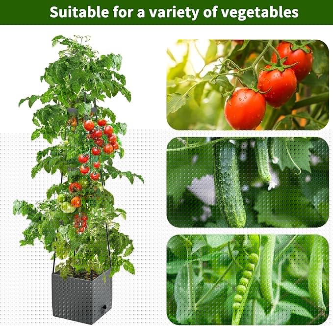Raised Garden Bed, Planter Boxes with Trellis 58.3'' Tomato Planters for Climbing Vine Vegetables Flowers Plants Self Watering Tomatoes Cage for Outdoor Patio Greenhouse