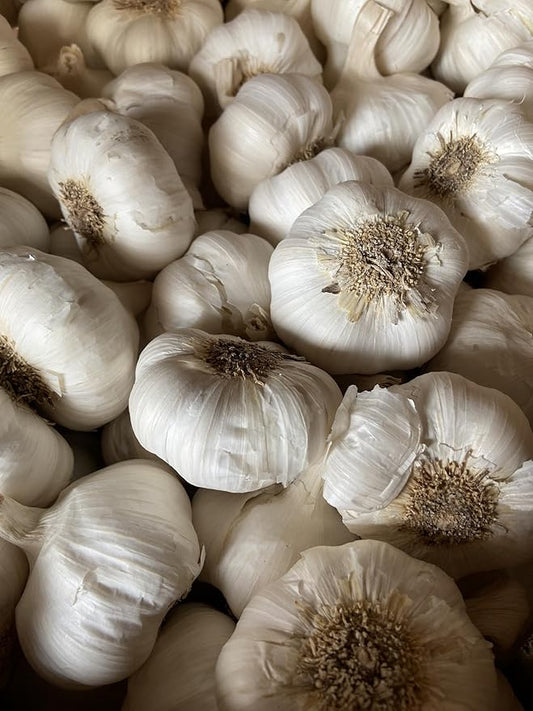 Garlic Seed Bulbs, Large Cloves, Cold Hardy, Bold Flavor (50)