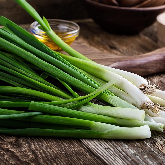 Back to The Roots 100% Organic Seed Packet - Onion 'Evergreen Bunching'