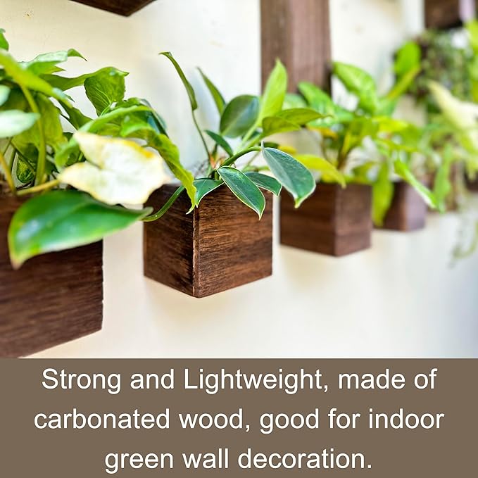 LaLaGreen Indoor Planter Box for Plants (4x4 Inch, 12 Pack) Small Square Wooden Wall Mounted Planters Wood Window Boxes Hanging Flower Pot Plant Holder Outdoor Herb Modern Vertical Garden Home Decor