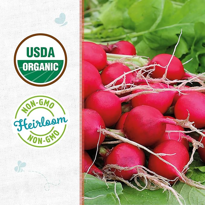 Back to The Roots 100% Organic Seed Packet - Radish 'Cherry Belle' 1.4g