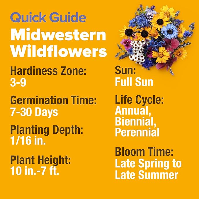 HOME GROWN 32,500+ Midwest Wildflower Seeds 2oz 15 Varieties – Annual & Perennial Flower Seeds for Attracting Bees & Butterflies – Open Pollinated