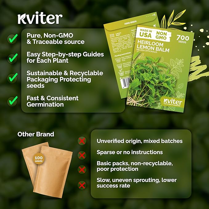 KVITER 700 Lemon Balm Seeds for Planting (Melissa Officinalis) – Heirloom & Organic Medicinal Herb Seeds – Grow in Herb Garden, Pots, Beds Indoors & Outdoors for Calming Lemon Balm Tea