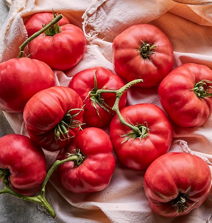 Burpee 'Mortgage Lifter' Heirloom, Beefsteak Tomato, 125 Non-GMO Seeds
